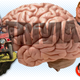 Jalopnik's Virtual Car Trivia On Friday Night Will Include Two Special Guests In Addition To The Two Regular Idiots
